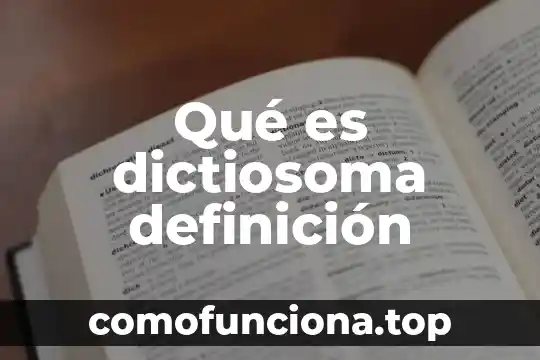 Qué es una oración definición para niños 5 Qué es dictiosoma definición