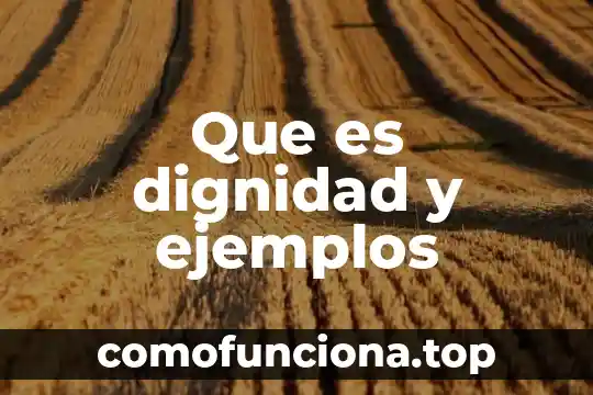 Que es una flor perfecta ejemplos 4 Que es dignidad y ejemplos