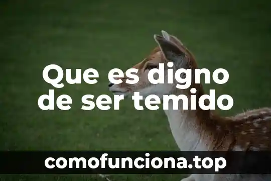 Que es ser fancy 6 Que es digno de ser temido
