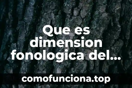 Que es color en arquitectura 6 Que es dimension fonologica del lenguaje