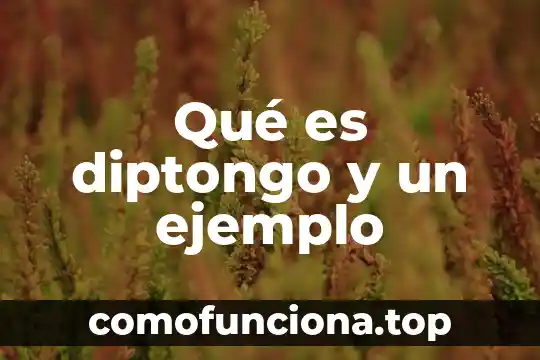 Significado en ingles de que es estimacion en estadistica 5 Qué es diptongo y un ejemplo