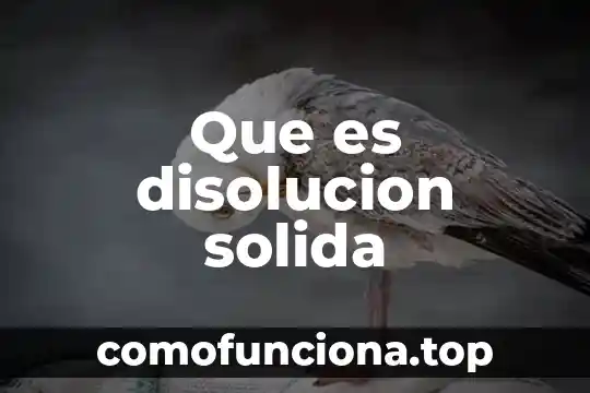 Qué es disolución en ciencia física 6 Que es disolucion solida