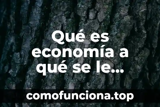 Qué es connotación en economía 7 Qué es economía a qué se le conoce como capitalismo