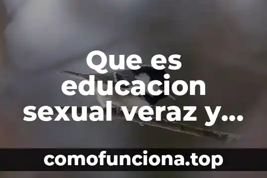 Se pone conexión que es un número 4 Que es educacion sexual veraz y objetiva