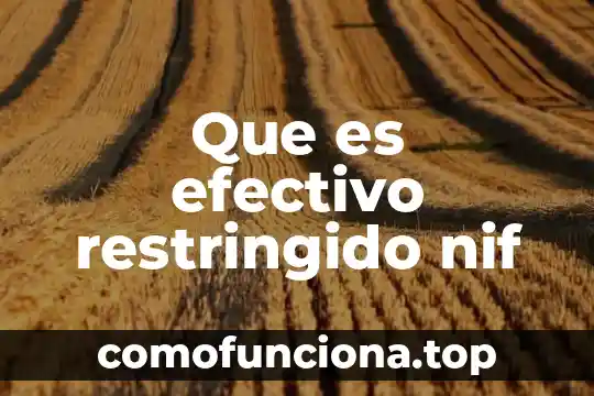 Qué es un crédito efectivo 3 Que es efectivo restringido nif