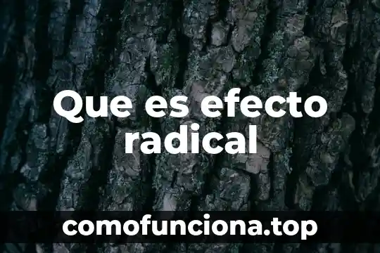 Que es la democracia moderna su significado radical 3 Que es efecto radical
