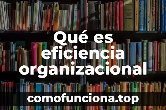 860 Iusacell que es 5 Qué es eficiencia organizacional