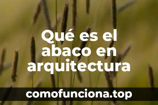 Que es claro en arquitectura 4 Qué es el abaco en arquitectura