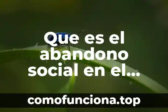 Que es la capacidad funcional en el adulto mayor 6 Que es el abandono social en el adulto mayor