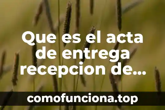 Que es la trama o argumento de una obra dramatica 6 Que es el acta de entrega recepcion de una obra