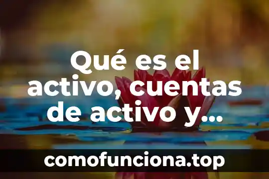 Qué es Excel y cuáles son sus componentes 8 Qué es el activo, cuentas de activo y para qué son