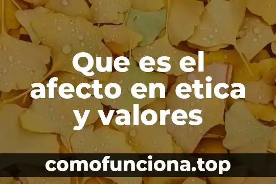 Qué es un tubular de valores en geometría 4 Que es el afecto en etica y valores