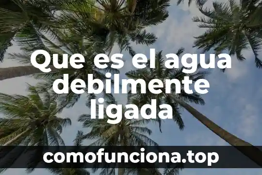 ¿Qué es el número NIS del agua? 6 Que es el agua debilmente ligada