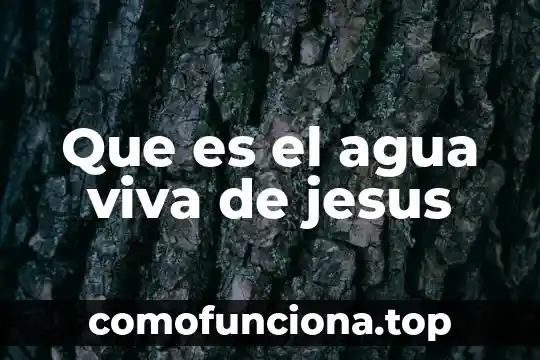 Que es un tecnico en tratamientos de agua 7 Que es el agua viva de jesus