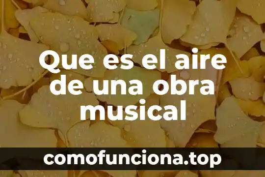 Número internacional normalizado del libro que es 5 Que es el aire de una obra musical