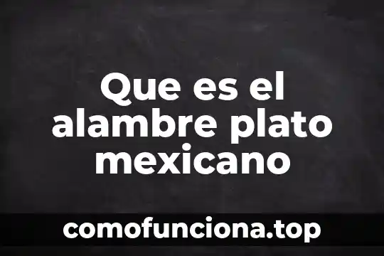 Que es el plato del buen comer concepto 8 Que es el alambre plato mexicano