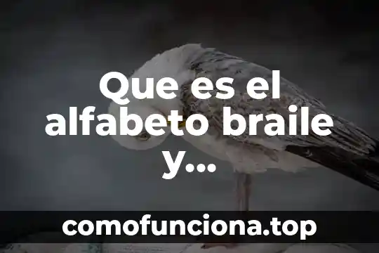 Qué es el arte digital y sus características 6 Que es el alfabeto braile y caracteristicas