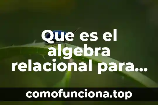Que es un modelo relacional en access 3 Que es el algebra relacional para bases de datos