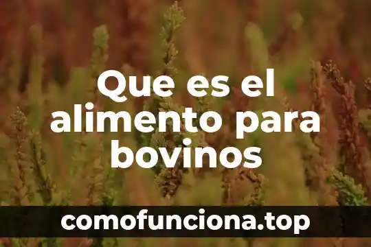 Alimento super cuaco para que es 3 Que es el alimento para bovinos