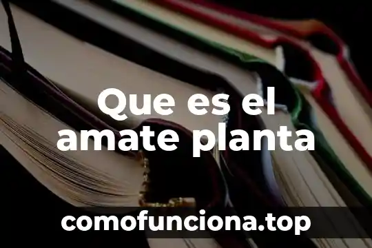 Qué es la autenticidad como valor 3 Que es el amate planta