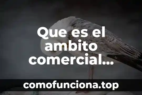 Que es u nombre comercial 3 Que es el ambito comercial proyecto de inversion