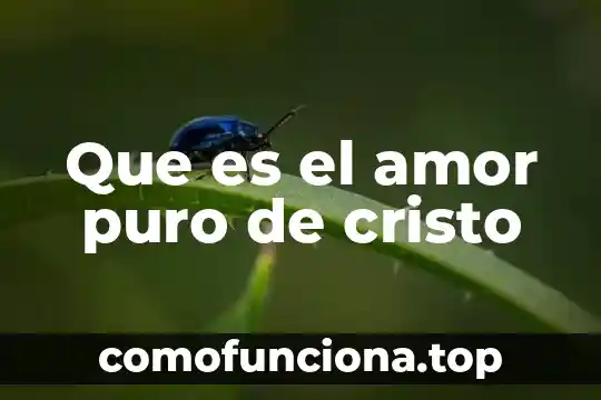 Qué es unidad número 8 Que es el amor puro de cristo