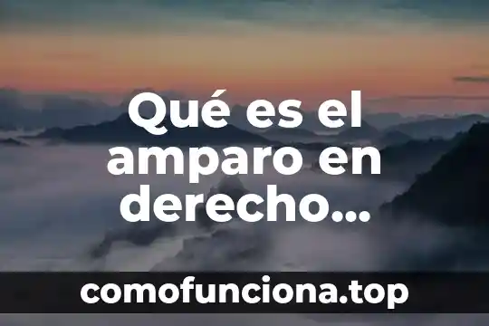 Gifs de lo que es ser mexicano 4 Qué es el amparo en derecho mexicano