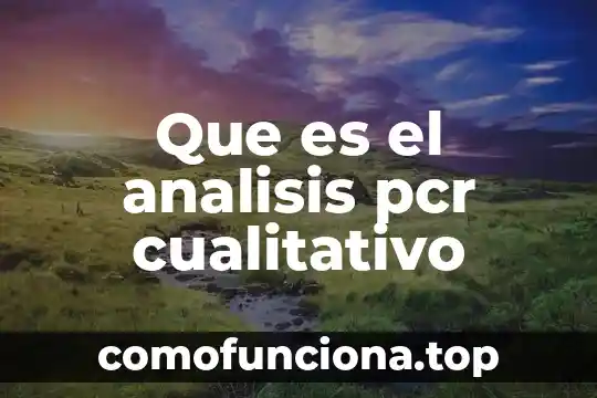 Que es un analisis a conciencia 7 Que es el analisis pcr cualitativo