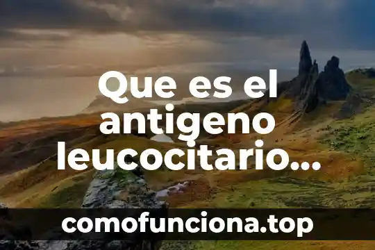 El ser humano saludable que es 5 Que es el antigeno leucocitario humano b27