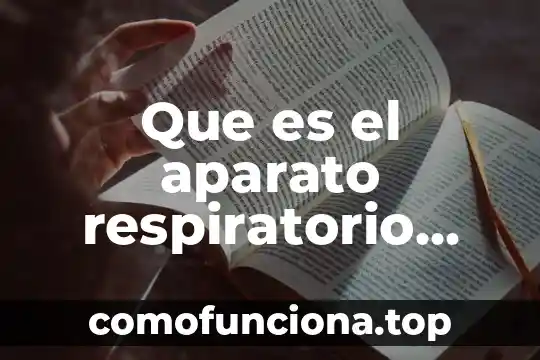 Que es depresion del sistema respiratorio 8 Que es el aparato respiratorio enfermedades animado