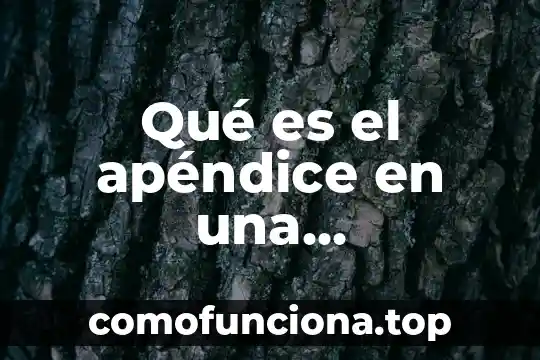 Análisis de datos en una investigación que es 6 Qué es el apéndice en una investigación
