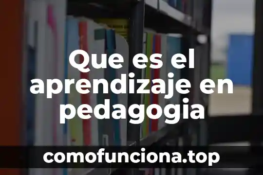 Que es pensamiento y aprendizaje 5 Que es el aprendizaje en pedagogia