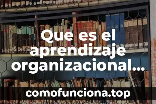Que es movimiento ondulatorio ejemplo 8 Que es el aprendizaje organizacional ejemplo en telemarketing