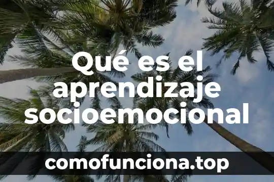 Que es pensamiento y aprendizaje 3 Qué es el aprendizaje socioemocional