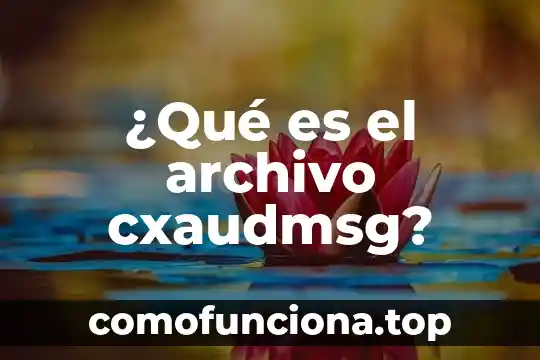 Que es incoherente significado de diccionario 5 ¿Qué es el archivo cxaudmsg?