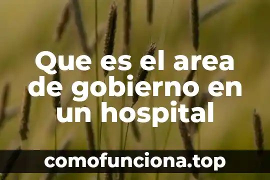 Instituciones de gobierno que es parte del legado virreinal 7 Que es el area de gobierno en un hospital