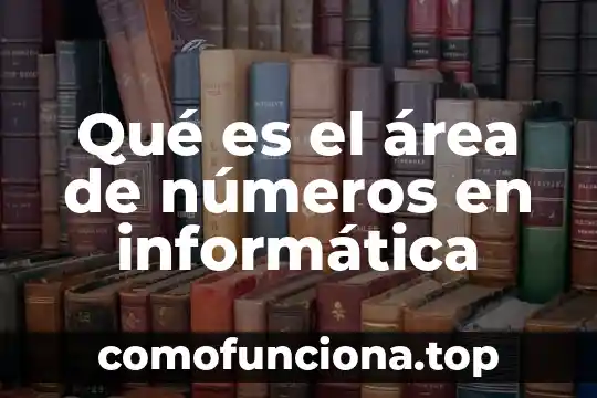 Que es la sucesion de numeros con signo 6 Qué es el área de números en informática