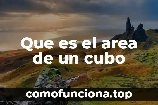 Investigar que es un area funcional de una empresa 4 Que es el area de un cubo