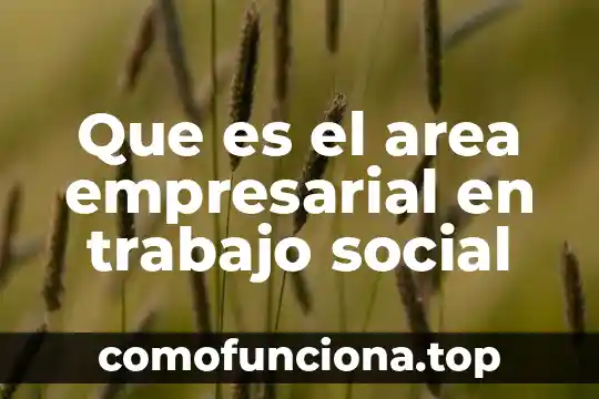 Investigar que es un area funcional de una empresa 7 Que es el area empresarial en trabajo social