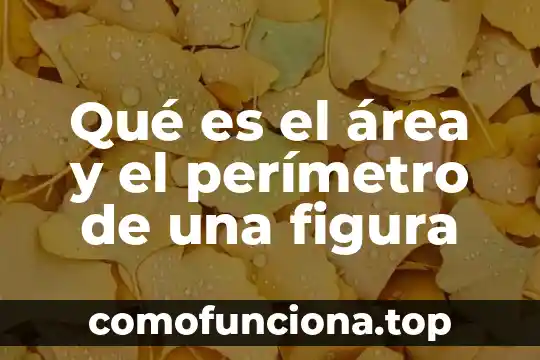 Ejemplo que es perimetro en una figura 6 Qué es el área y el perímetro de una figura