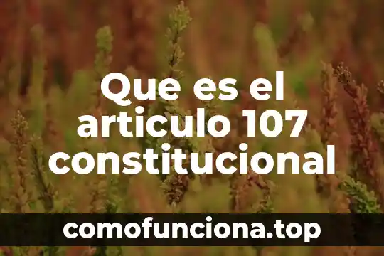 ¿Qué es la libertad constitucional de la publicación? 4 Que es el articulo 107 constitucional