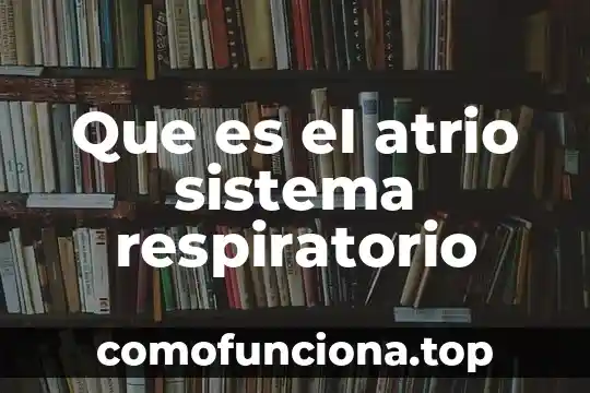 Que es el aparato respiratorio enfermedades animado 8 Que es el atrio sistema respiratorio