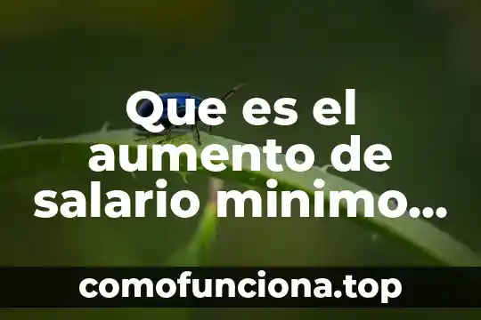 Que es estado de cultura 4 Que es el aumento de salario minimo definicion