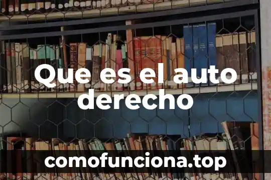 Que es seguro del auto 4 Que es el auto derecho