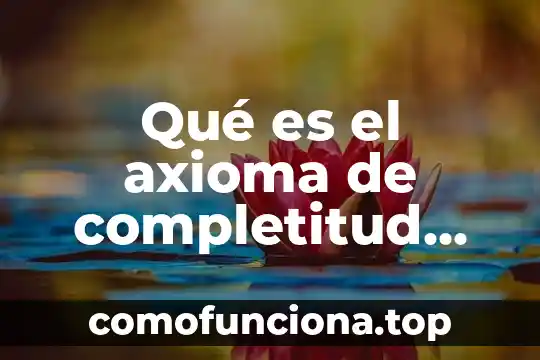 Qué es un número real definición y ejemplo 7 Qué es el axioma de completitud definición