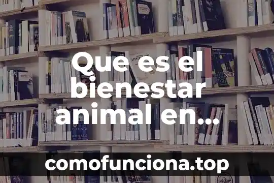 Que es un carnero animal 7 Que es el bienestar animal en perros y gatos