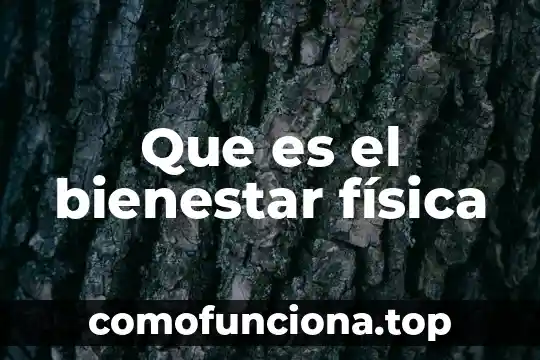 Que es un fulcro en fisica 5 Que es el bienestar física