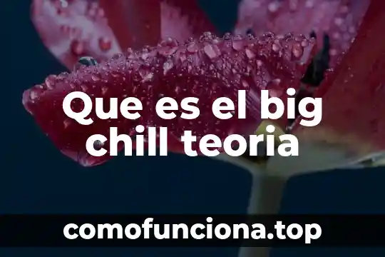 Qué es la teoría económica internacional 3 Que es el big chill teoria