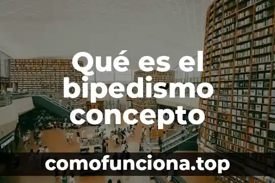Qué es una autoridad comunal concepto 8 Qué es el bipedismo concepto