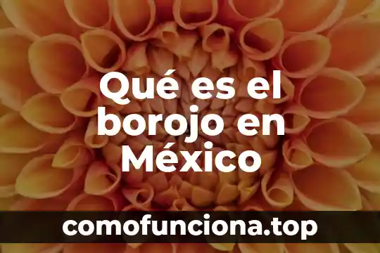 Qué es un ente descentralizado en México 3 Qué es el borojo en México